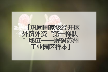 巩固国家级经开区外贸外资“第一梯队”地位——解码苏州工业园区样本