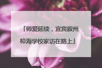 师爱延续，宜宾叙州樟海学校家访在路上