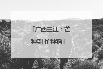 广西三江：芒种到 忙种稻