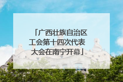 广西壮族自治区工会第十四次代表大会在南宁开幕