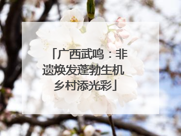 广西武鸣：非遗焕发蓬勃生机 乡村添光彩