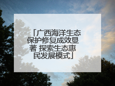 广西海洋生态保护修复成效显著 探索生态惠民发展模式