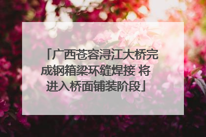 广西苍容浔江大桥完成钢箱梁环缝焊接 将进入桥面铺装阶段