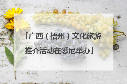广西（梧州）文化旅游推介活动在悉尼举办