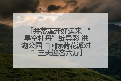 并蒂莲开好运来 “星空牡丹”绽异彩 洪湖公园“国际荷花派对”三天迎客六万