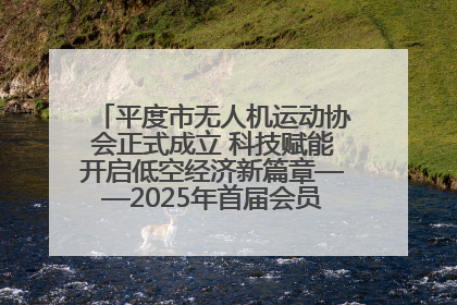 平度市无人机运动协会正式成立 科技赋能开启低空经济新篇章——2025年首届会员大会暨无人机应用发展论坛成功举办