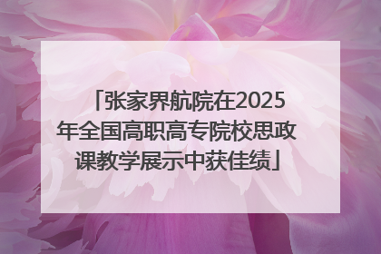 张家界航院在2025年全国高职高专院校思政课教学展示中获佳绩