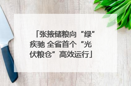 张掖储粮向“绿”疾驰 全省首个“光伏粮仓”高效运行