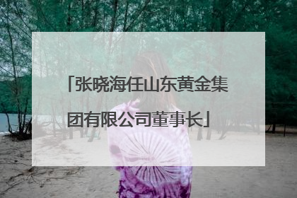 张晓海任山东黄金集团有限公司董事长