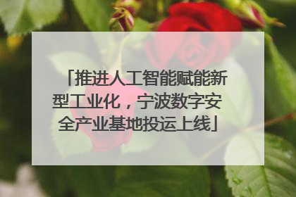 推进人工智能赋能新型工业化，宁波数字安全产业基地投运上线