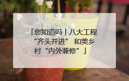 您知道吗丨八大工程“齐头并进” 和美乡村“内外兼修”