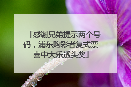 感谢兄弟提示两个号码，浦东购彩者复式票喜中大乐透头奖