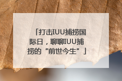 打击IUU捕捞国际日，聊聊IUU捕捞的“前世今生”
