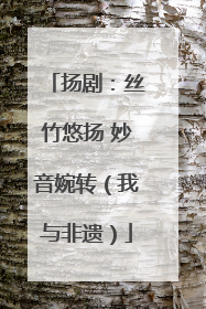 扬剧：丝竹悠扬 妙音婉转（我与非遗）