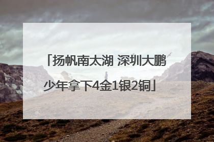 扬帆南太湖 深圳大鹏少年拿下4金1银2铜