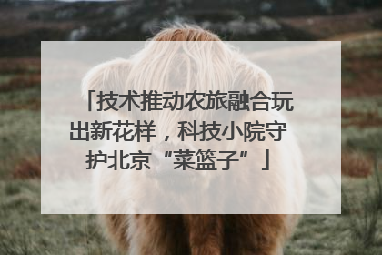技术推动农旅融合玩出新花样，科技小院守护北京“菜篮子”