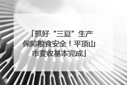 抓好“三夏”生产 保障粮食安全！平顶山市麦收基本完成