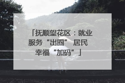 抚顺望花区：就业服务“出圈” 居民幸福“加码”