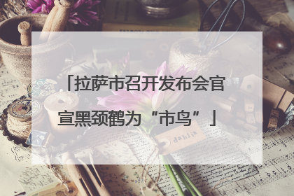 拉萨市召开发布会官宣黑颈鹤为“市鸟”