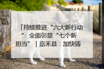 持续推进“六大新行动 ” 全面彰显“七个新担当”｜嘉禾县：加快铸造行业提档升级 助力绿色高质量发展