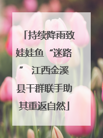 持续降雨致娃娃鱼“迷路” 江西金溪县干群联手助其重返自然