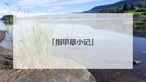 指甲草小记