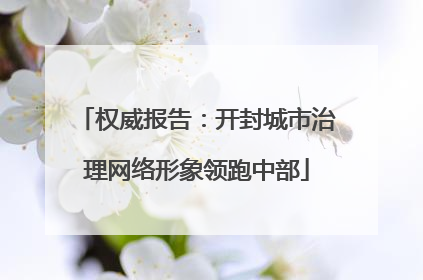 权威报告：开封城市治理网络形象领跑中部