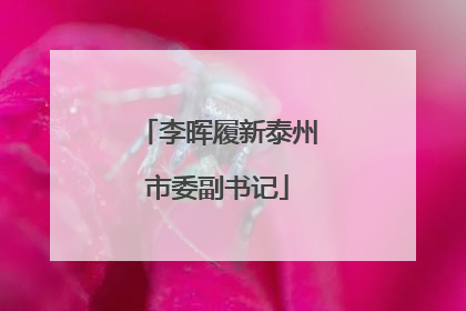 李晖履新泰州市委副书记