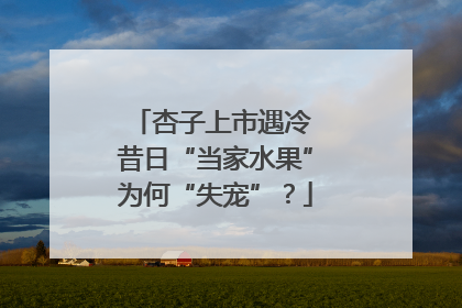 杏子上市遇冷 昔日“当家水果”为何“失宠”？