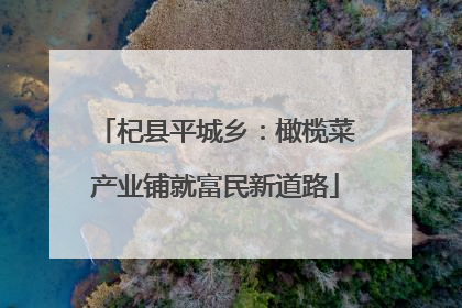 杞县平城乡：橄榄菜产业铺就富民新道路