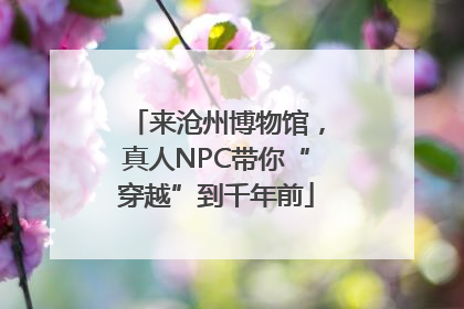 来沧州博物馆，真人NPC带你“穿越”到千年前
