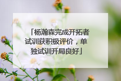 杨瀚森完成开拓者试训获积极评价，单独试训开局良好