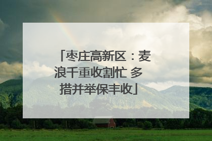 枣庄高新区：麦浪千重收割忙 多措并举保丰收