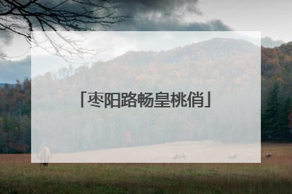 枣阳路畅皇桃俏