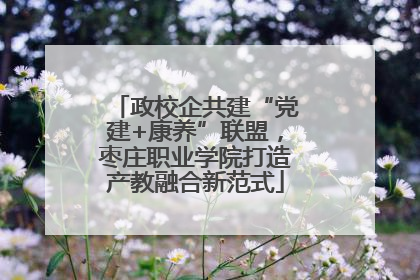 政校企共建“党建+康养”联盟，枣庄职业学院打造产教融合新范式