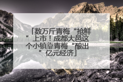 数万斤青梅“抢鲜”上市！成都大邑这个小镇靠青梅“酿出”亿元经济
