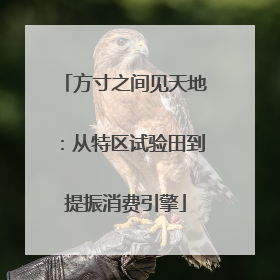 方寸之间见天地：从特区试验田到提振消费引擎