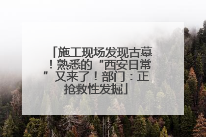 施工现场发现古墓！熟悉的“西安日常”又来了！部门：正抢救性发掘
