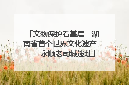 文物保护看基层｜湖南省首个世界文化遗产——永顺老司城遗址
