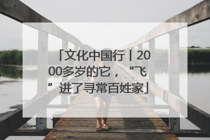 文化中国行丨2000多岁的它，“飞”进了寻常百姓家