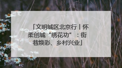 文明城区北京行丨怀柔创城“绣花功”：街巷焕彩、乡村兴业