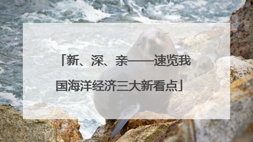 新、深、亲——速览我国海洋经济三大新看点