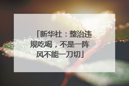 新华社：整治违规吃喝，不是一阵风不能一刀切