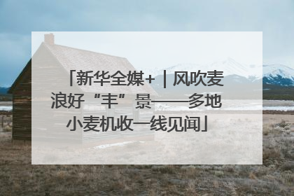新华全媒+｜风吹麦浪好“丰”景——多地小麦机收一线见闻