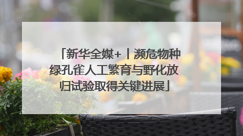 新华全媒+丨濒危物种绿孔雀人工繁育与野化放归试验取得关键进展