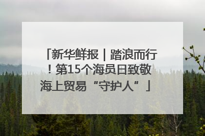 新华鲜报｜踏浪而行！第15个海员日致敬海上贸易“守护人”