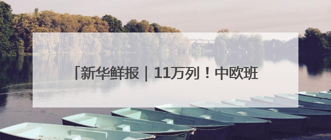 新华鲜报｜11万列！中欧班列跑出亚欧大陆“新时速”