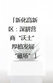 新化高新区：深耕营商“沃土” 厚植发展“磁场”