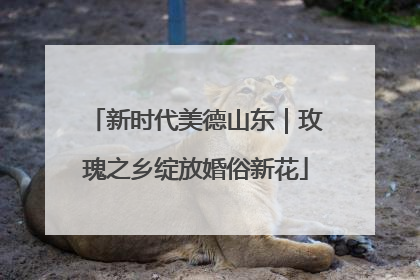 新时代美德山东｜玫瑰之乡绽放婚俗新花