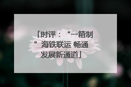 时评：“一箱制”海铁联运 畅通发展新通道